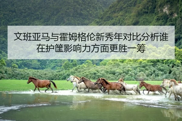 文班亚马与霍姆格伦新秀年对比分析谁在护筐影响力方面更胜一筹