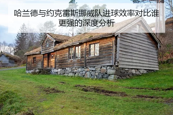 哈兰德与约克雷斯挪威队进球效率对比谁更强的深度分析