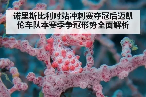 诺里斯比利时站冲刺赛夺冠后迈凯伦车队本赛季争冠形势全面解析